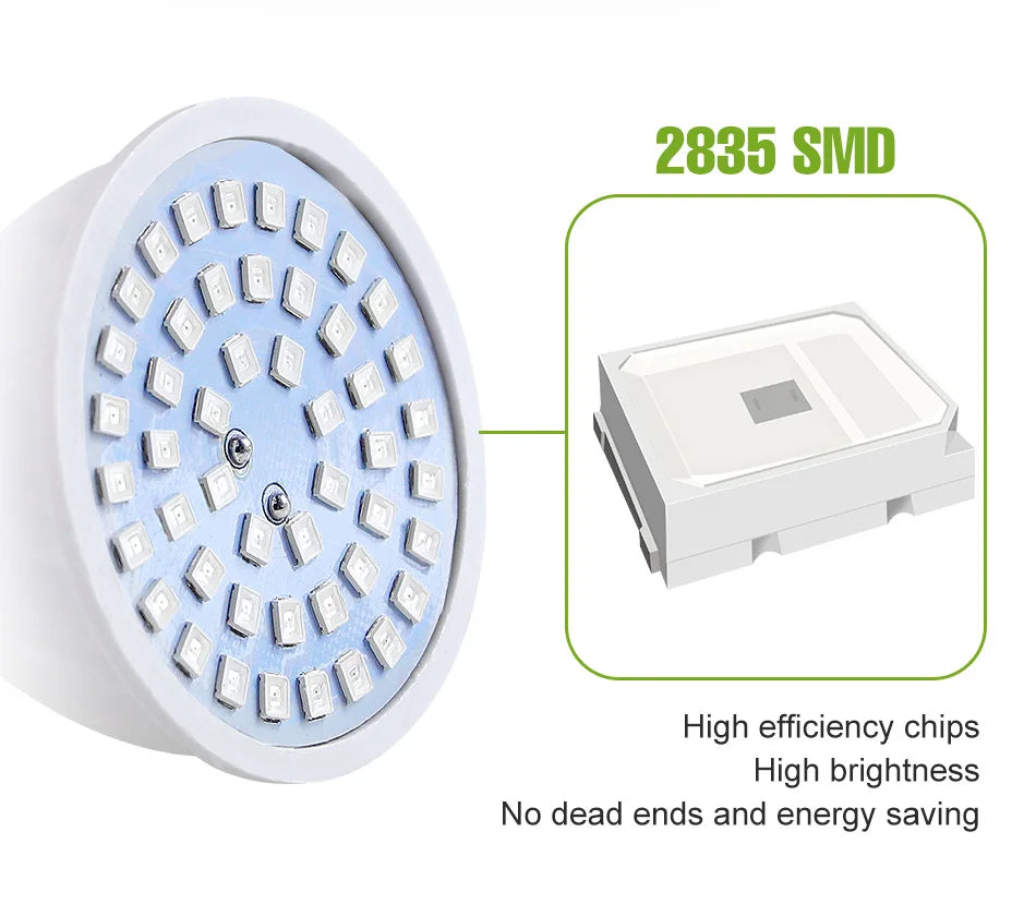 Full-Spectrum LED Plant Grow Light Bulb for Indoor Flowers, Herbs & Seedlings — E27, E14, GU10, B22, MR16 — 5W, 7W & 9W Options