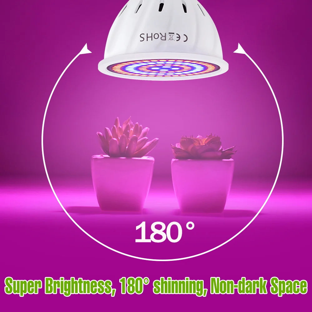 Full-Spectrum LED Plant Grow Light Bulb for Indoor Flowers, Herbs & Seedlings — E27, E14, GU10, B22, MR16 — 5W, 7W & 9W Options
