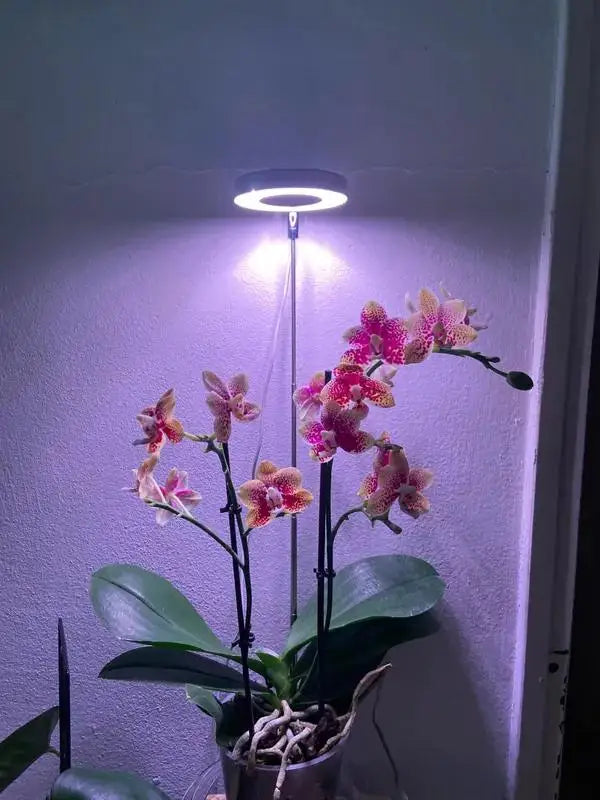USB Full-Spectrum LED Grow Light for Small Indoor Plants, Herbs & Seedlings — Dimmable, 3 Timer Modes, White Plug