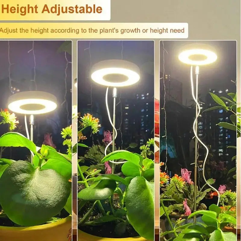 USB Full-Spectrum LED Grow Light for Small Indoor Plants, Herbs & Seedlings — Dimmable, 3 Timer Modes, White Plug
