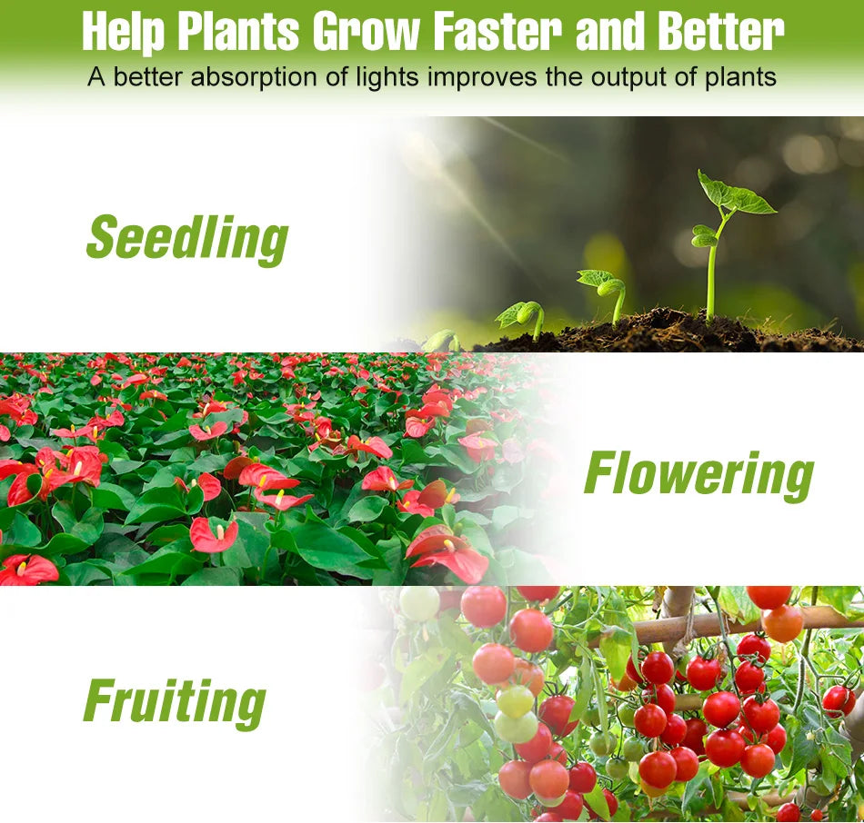 Full-Spectrum LED Plant Grow Light Bulb for Indoor Flowers, Herbs & Seedlings — E27, E14, GU10, B22, MR16 — 5W, 7W & 9W Options