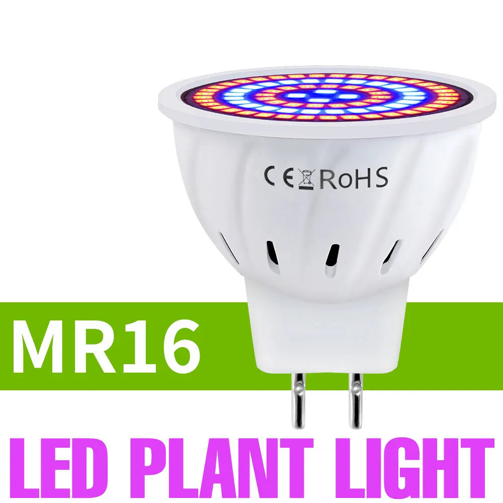 Full-Spectrum LED Plant Grow Light Bulb for Indoor Flowers, Herbs & Seedlings — E27, E14, GU10, B22, MR16 — 5W, 7W & 9W Options