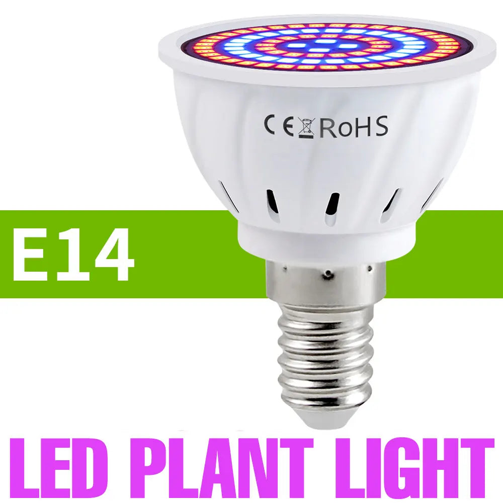 Full-Spectrum LED Plant Grow Light Bulb for Indoor Flowers, Herbs & Seedlings — E27, E14, GU10, B22, MR16 — 5W, 7W & 9W Options