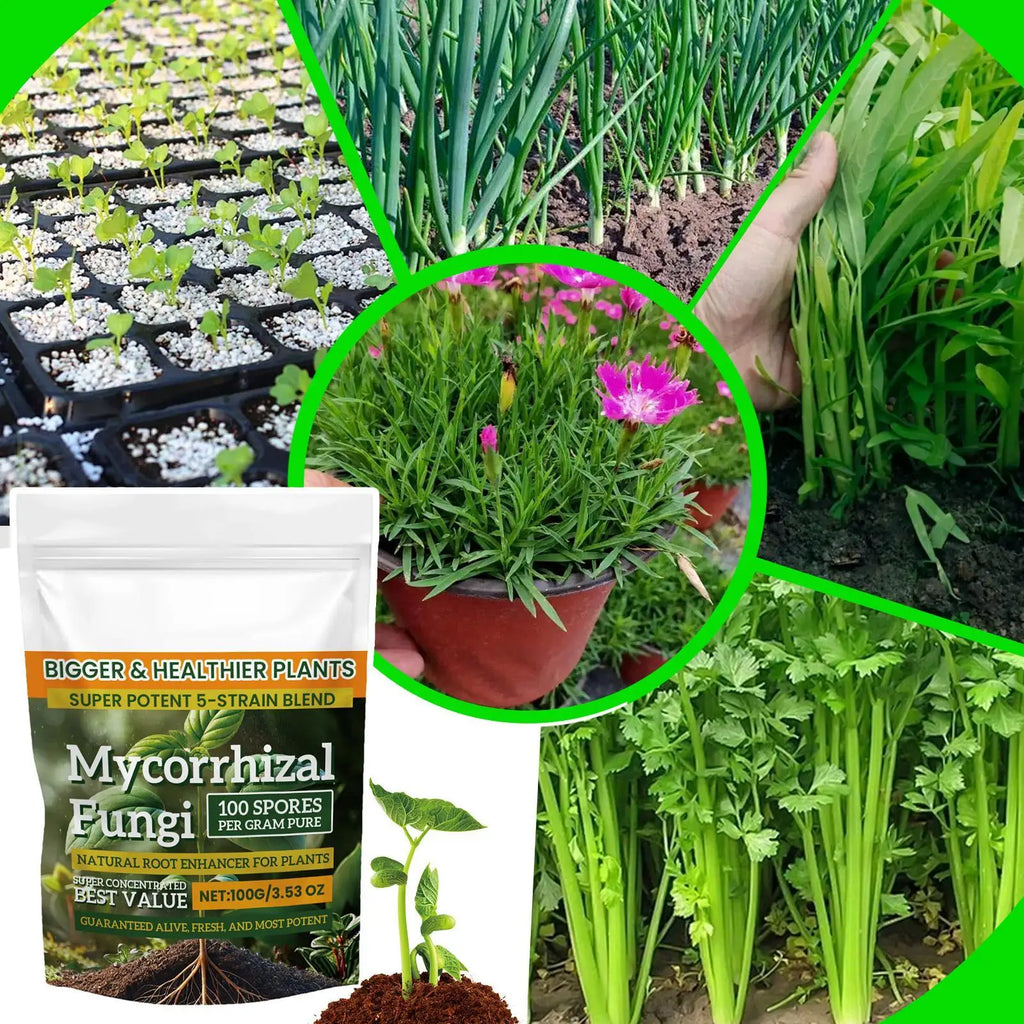 100g Plant Growth Fertilizer Powder for Root Support, Soil Culture & Hydroponic Growing — Weekly Application