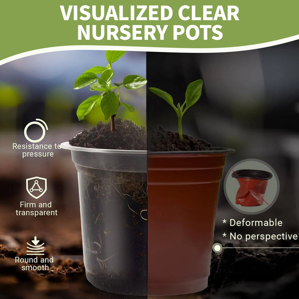 5-Pack Transparent Plastic Plant Pots with Saucers & Drainage Holes for Orchids, Succulents & Indoor Plants — 3.5in, 4in, 5in