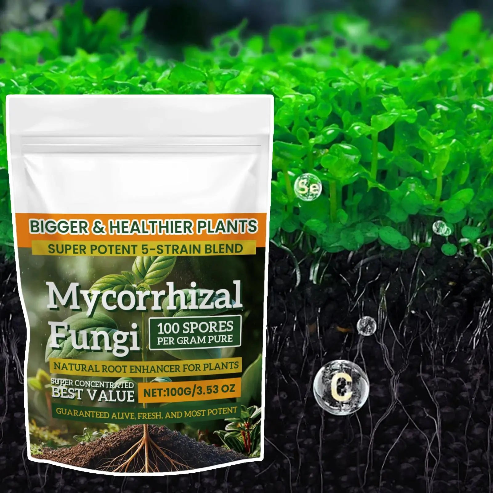 100g Plant Growth Fertilizer Powder for Root Support, Soil Culture & Hydroponic Growing — Weekly Application