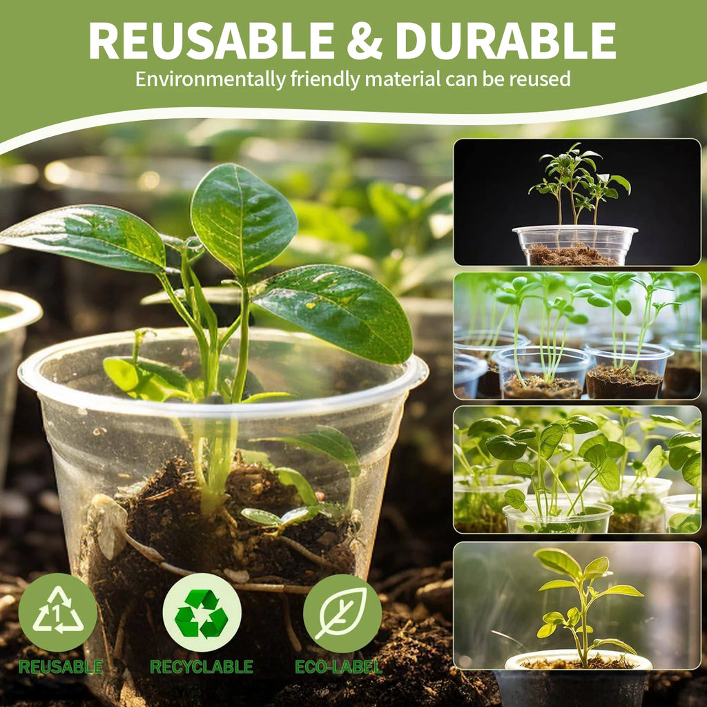 5-Pack Transparent Plastic Plant Pots with Saucers & Drainage Holes for Orchids, Succulents & Indoor Plants — 3.5in, 4in, 5in