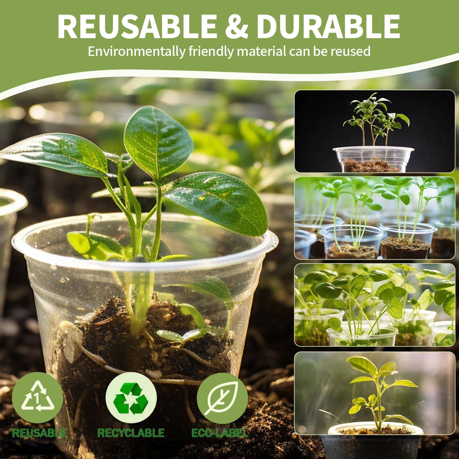 5-Pack Transparent Plastic Plant Pots with Saucers & Drainage Holes for Orchids, Succulents & Indoor Plants — 3.5in, 4in, 5in