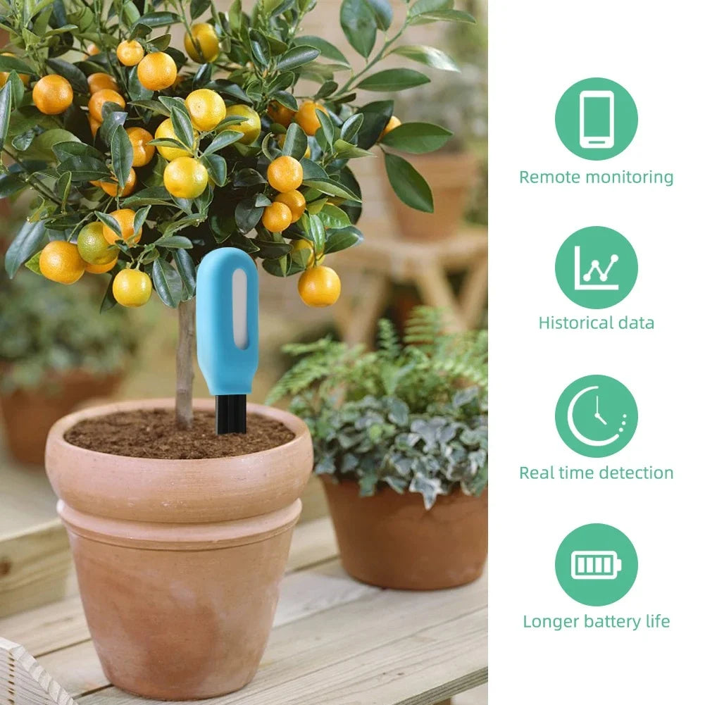 Smart Soil Moisture, Temperature & Humidity Sensor for Indoor Plants & Gardens — Bluetooth & Zigbee, Tuya & Home Assistant Compatible