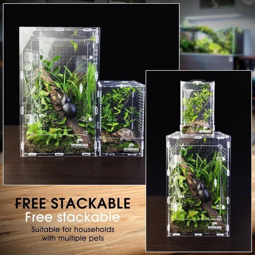 Acrylic Jumping Spider Enclosure Buckle Lock Escape Proof Reptile Feeding Tank Ventilated Transparent Reptile Habitat
