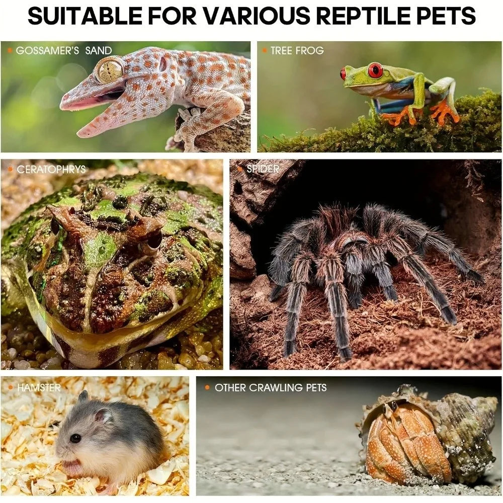 Acrylic Jumping Spider Enclosure Buckle Lock Escape Proof Reptile Feeding Tank Ventilated Transparent Reptile Habitat
