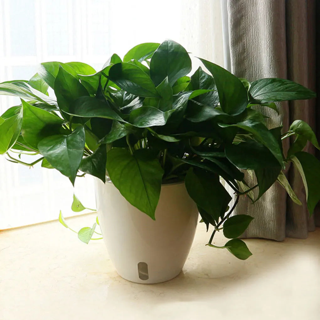 White Indoor Plant Pot with Drainage System for Herbs, Houseplants & Small Plants — 11×11cm, 13×13cm, 18×19cm