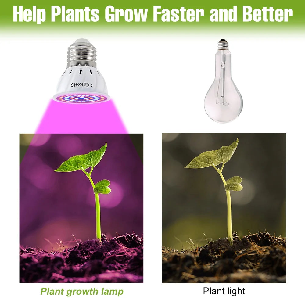 Full-Spectrum LED Plant Grow Light Bulb for Indoor Flowers, Herbs & Seedlings — E27, E14, GU10, B22, MR16 — 5W, 7W & 9W Options