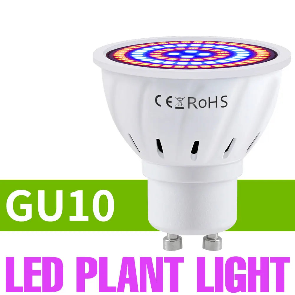 Full-Spectrum LED Plant Grow Light Bulb for Indoor Flowers, Herbs & Seedlings — E27, E14, GU10, B22, MR16 — 5W, 7W & 9W Options