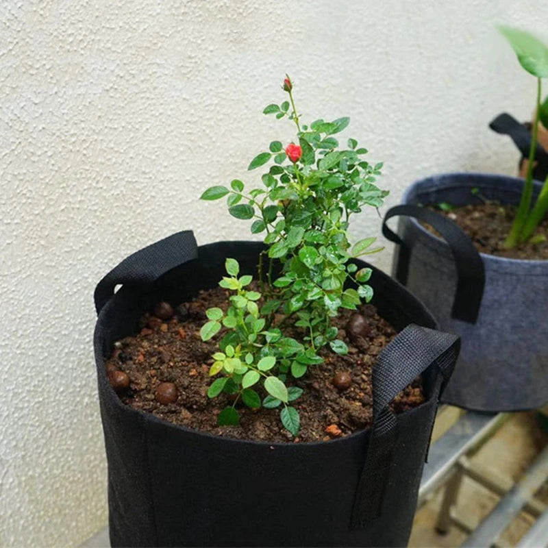 Felt Fabric Grow Bags for Vegetables, Tomatoes, Potatoes & Herbs — 1 to 30 Gallon Sizes — 1pc or 5pc Set