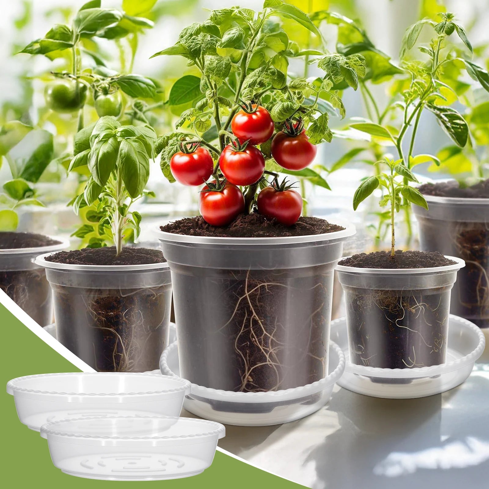 5-Pack Transparent Plastic Plant Pots with Saucers & Drainage Holes for Orchids, Succulents & Indoor Plants — 3.5in, 4in, 5in