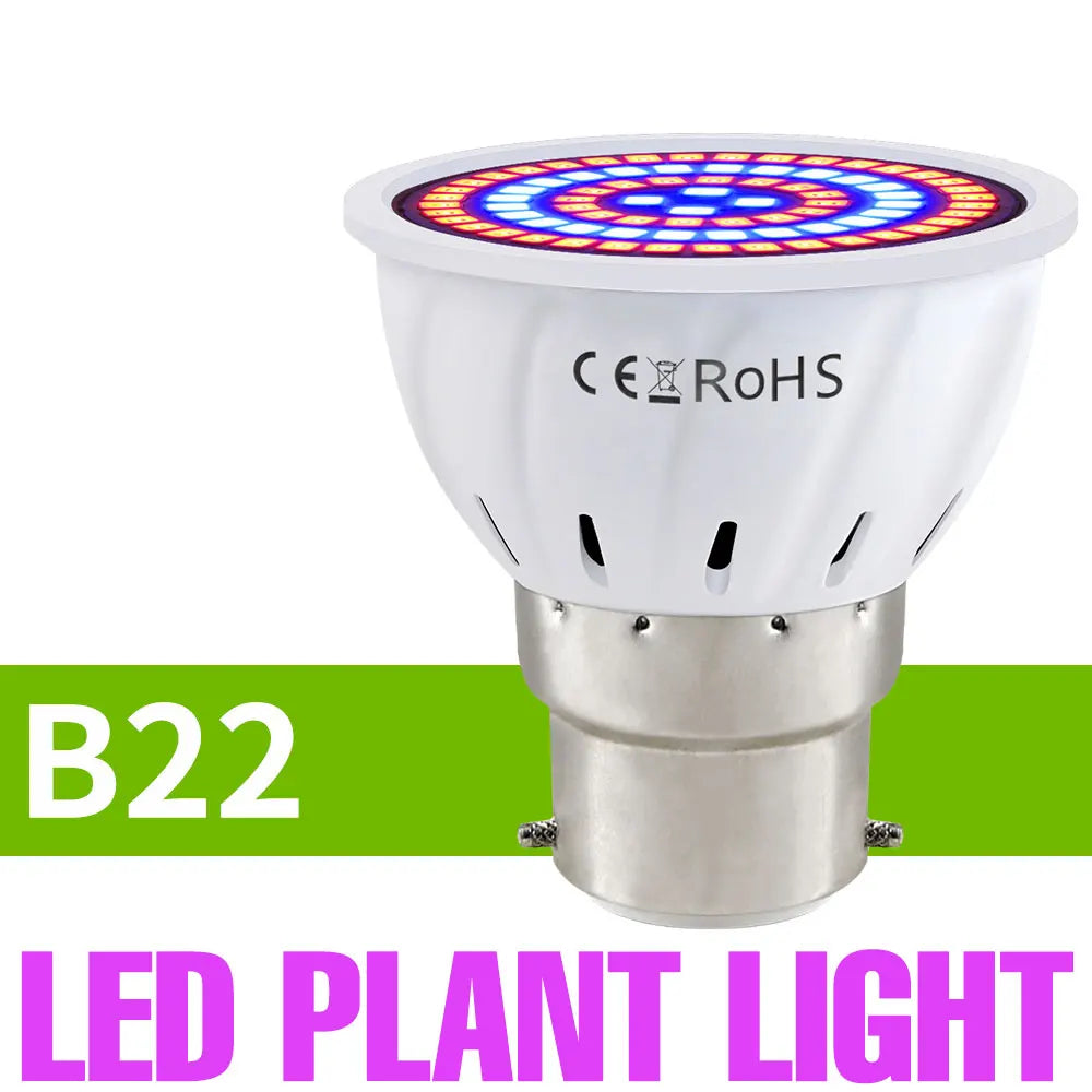 Full-Spectrum LED Plant Grow Light Bulb for Indoor Flowers, Herbs & Seedlings — E27, E14, GU10, B22, MR16 — 5W, 7W & 9W Options