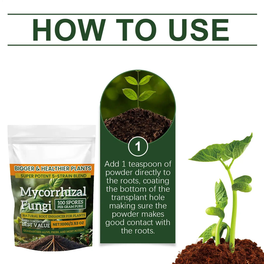 100g Plant Growth Fertilizer Powder for Root Support, Soil Culture & Hydroponic Growing — Weekly Application