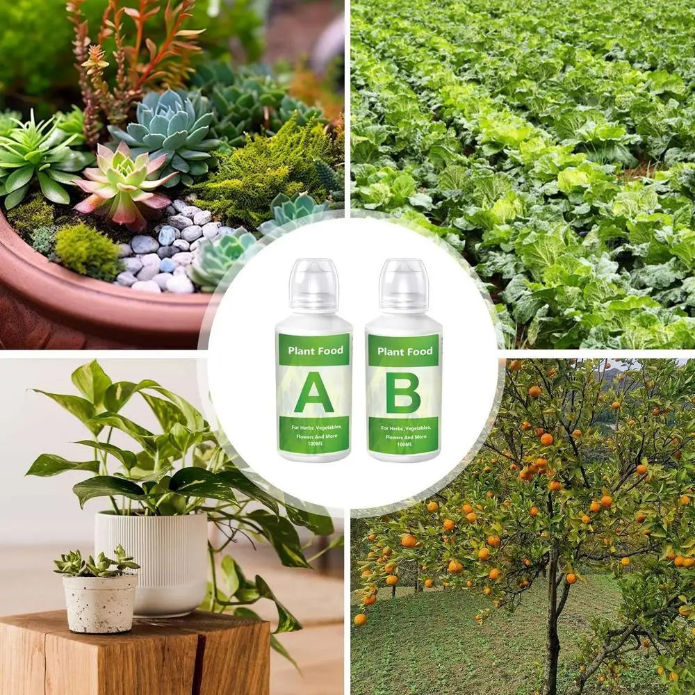 Hydroponic A/B Plant Nutrient Solution Set for Indoor Gardens, Vegetables, Flowers & Hydroponic Growing