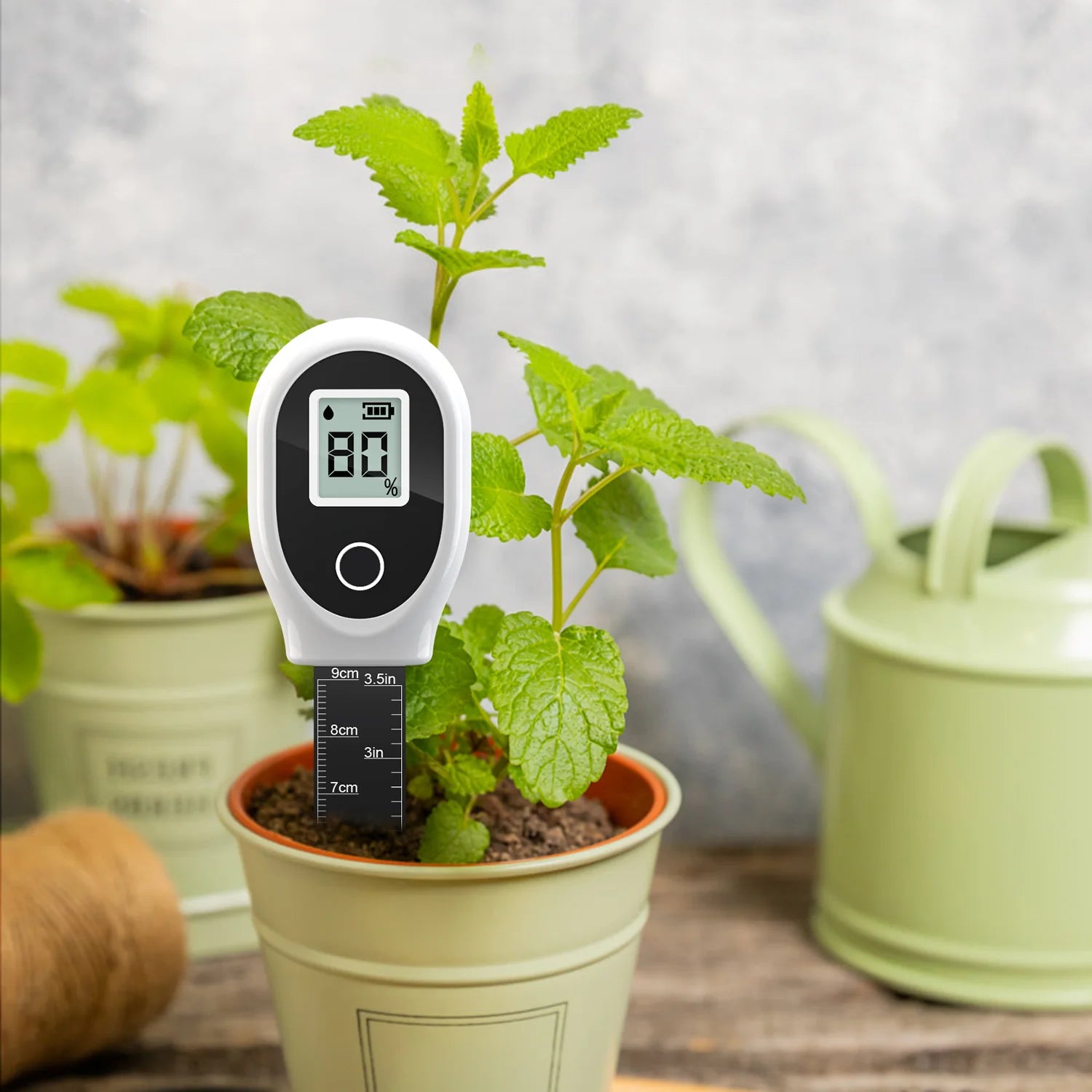 Digital Soil Moisture Meter with Backlit Display for Houseplants, Gardens, Lawns & Container Plants — High Accuracy 0–99%