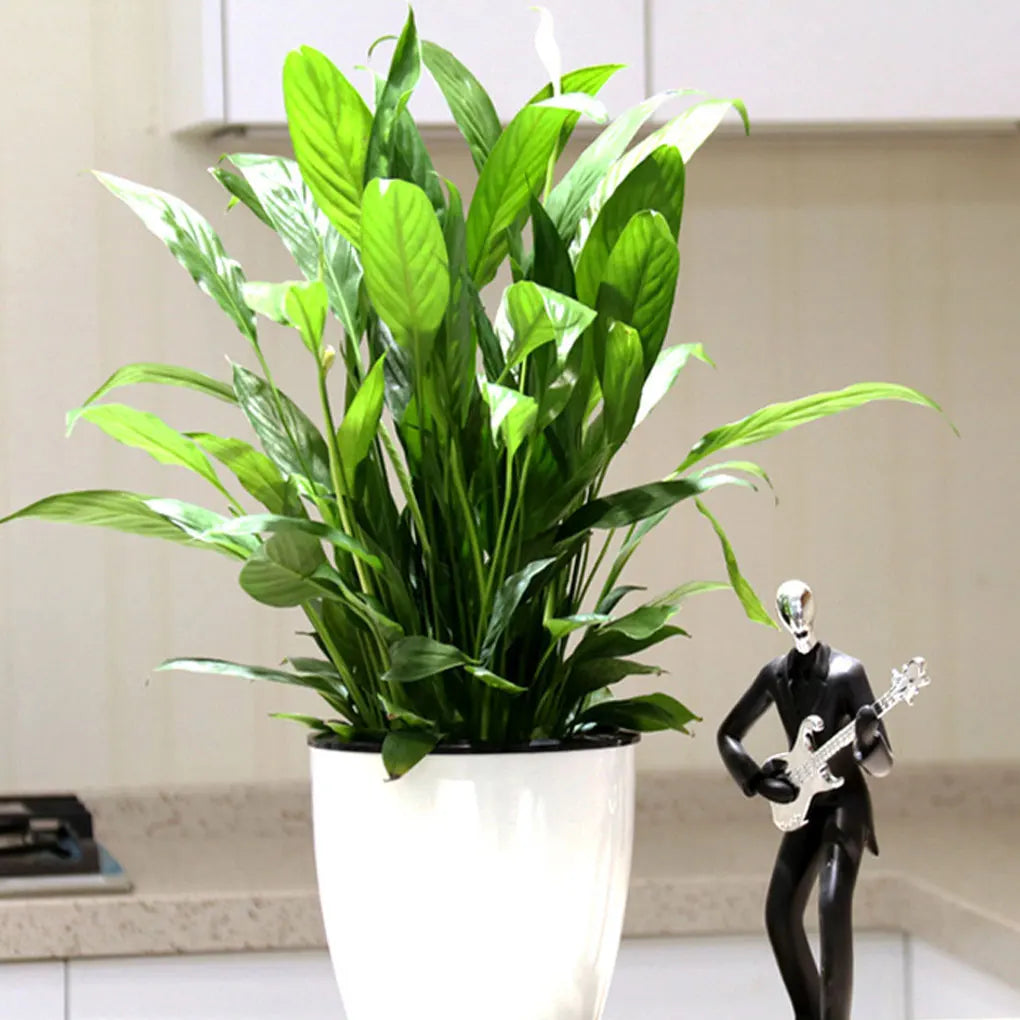 White Indoor Plant Pot with Drainage System for Herbs, Houseplants & Small Plants — 11×11cm, 13×13cm, 18×19cm