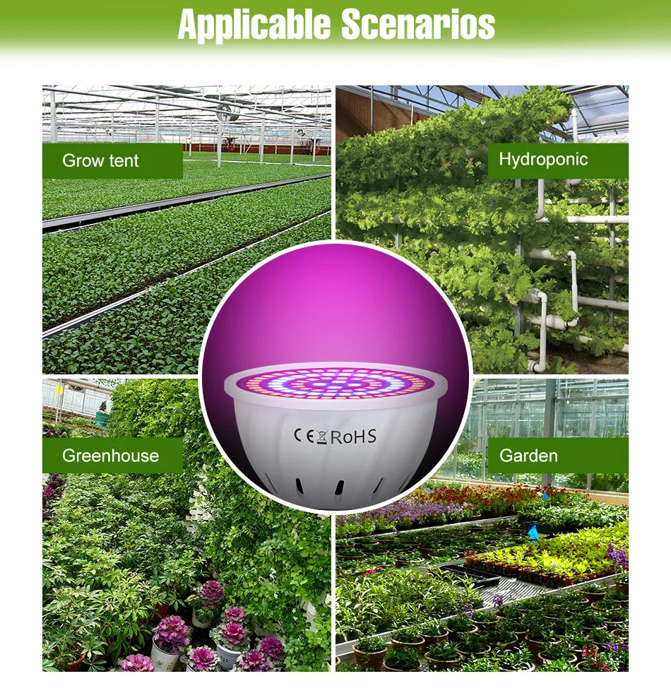 Full-Spectrum LED Plant Grow Light Bulb for Indoor Flowers, Herbs & Seedlings — E27, E14, GU10, B22, MR16 — 5W, 7W & 9W Options