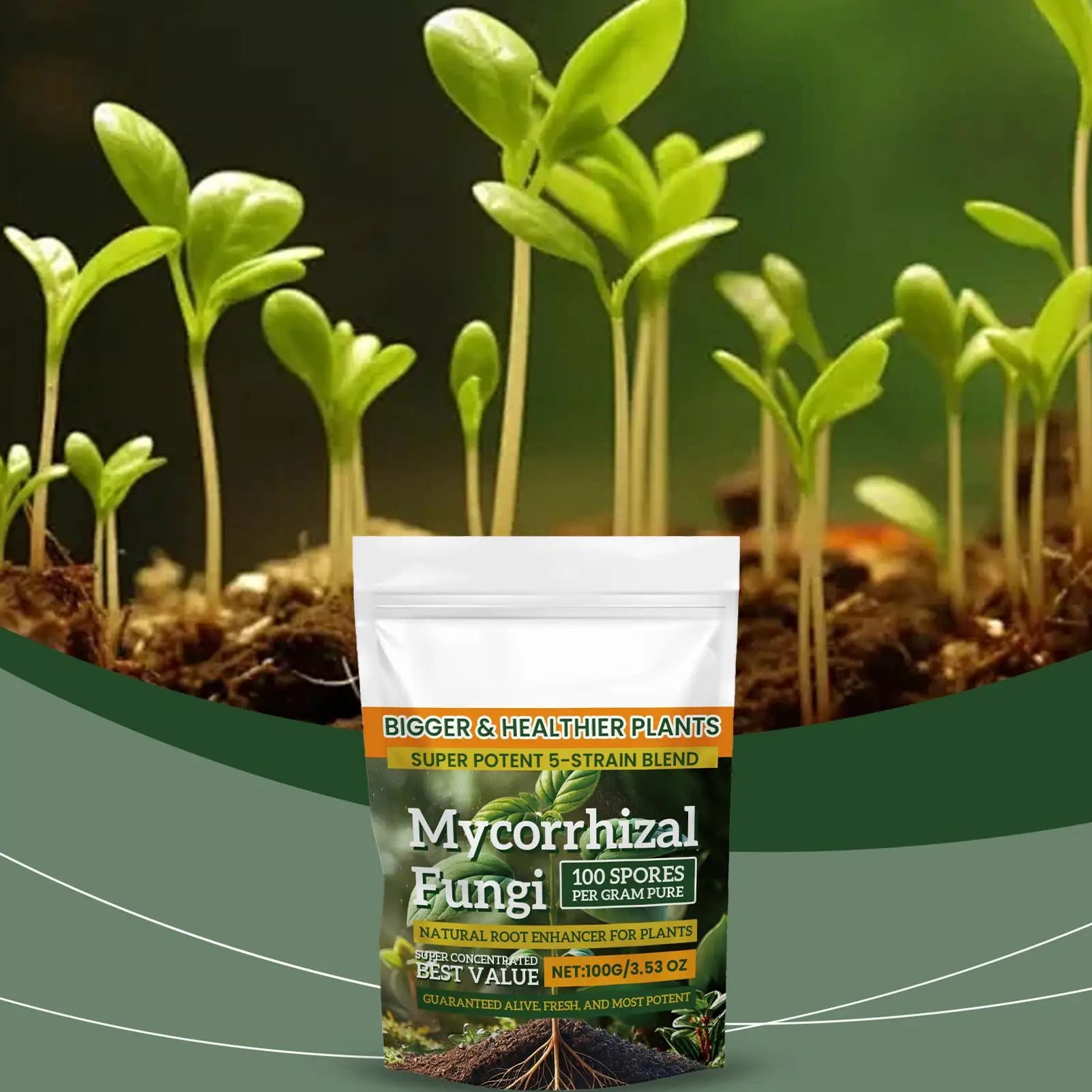 100g Plant Growth Fertilizer Powder for Root Support, Soil Culture & Hydroponic Growing — Weekly Application