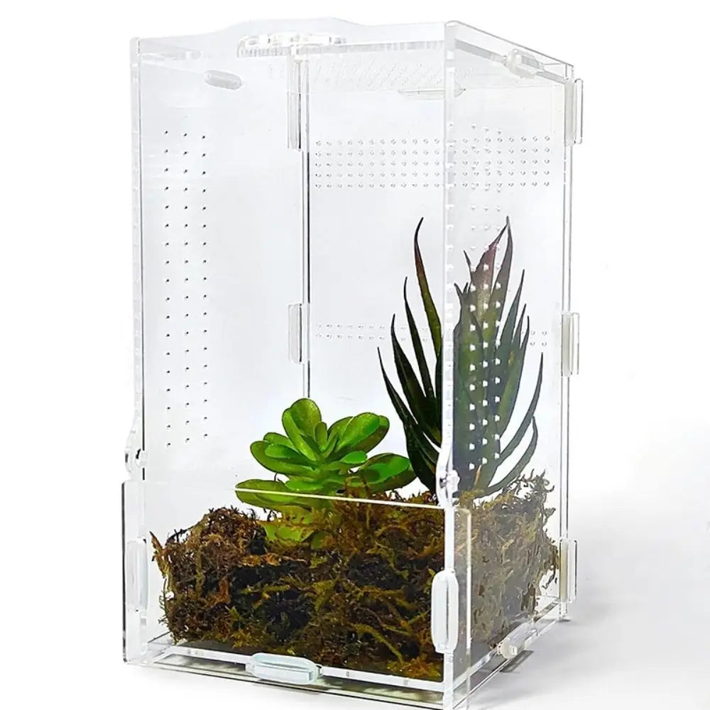 Acrylic Jumping Spider Enclosure Buckle Lock Escape Proof Reptile Feeding Tank Ventilated Transparent Reptile Habitat
