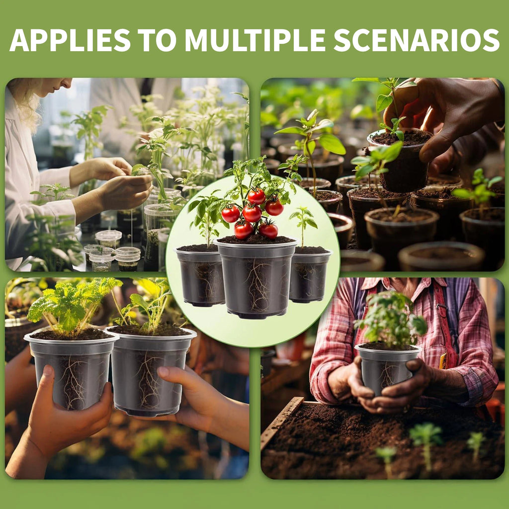 5-Pack Transparent Plastic Plant Pots with Saucers & Drainage Holes for Orchids, Succulents & Indoor Plants — 3.5in, 4in, 5in