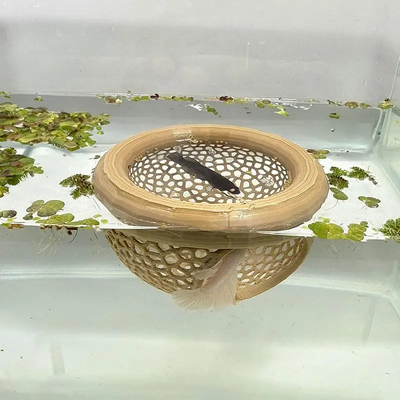 Aquarium Floating Cave Fish Shrimp Hideout Shelter 3-in-1 Hammock Feeding Ring & Resting Spot for Betta Small Aquatic Pets