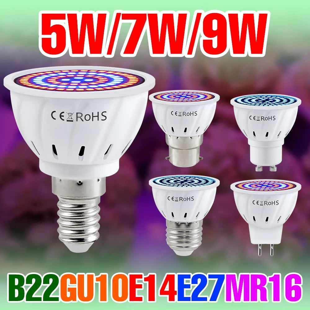 Full-Spectrum LED Plant Grow Light Bulb for Indoor Flowers, Herbs & Seedlings — E27, E14, GU10, B22, MR16 — 5W, 7W & 9W Options