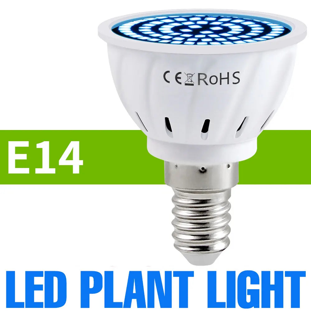 Full-Spectrum LED Plant Grow Light Bulb for Indoor Flowers, Herbs & Seedlings — E27, E14, GU10, B22, MR16 — 5W, 7W & 9W Options