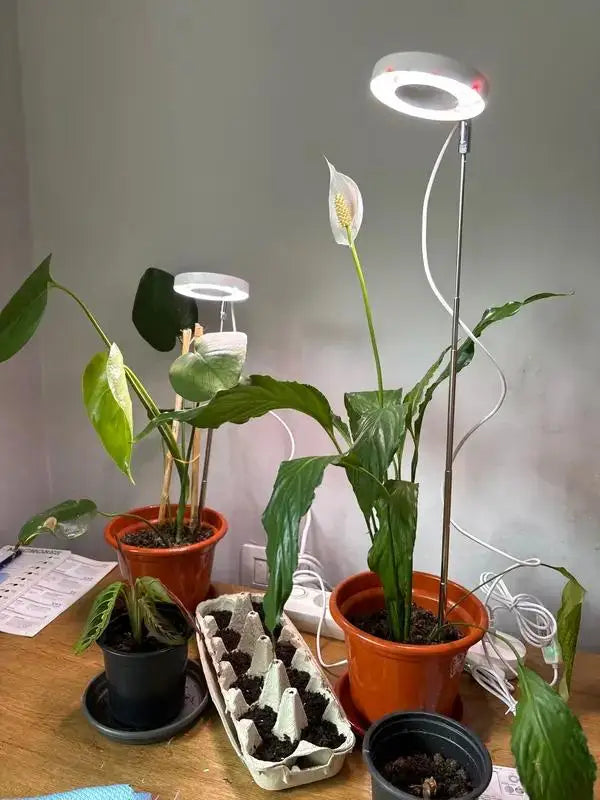 USB Full-Spectrum LED Grow Light for Small Indoor Plants, Herbs & Seedlings — Dimmable, 3 Timer Modes, White Plug