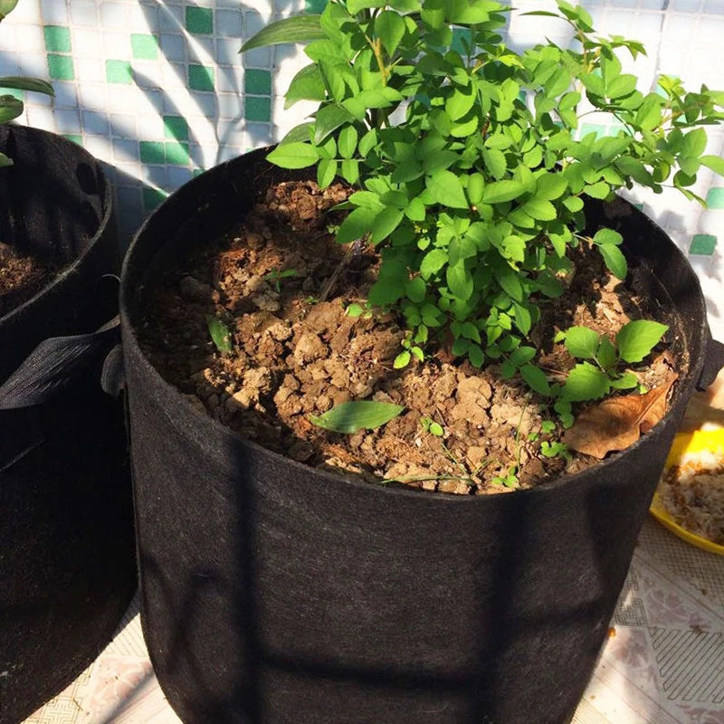 Felt Fabric Grow Bags for Vegetables, Tomatoes, Potatoes & Herbs — 1 to 30 Gallon Sizes — 1pc or 5pc Set