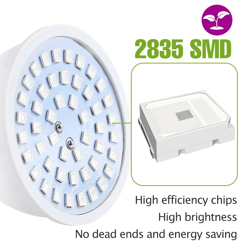 Full-Spectrum LED Plant Grow Light Bulb for Indoor Flowers, Herbs & Seedlings — E27, E14, GU10, B22, MR16 — 5W, 7W & 9W Options