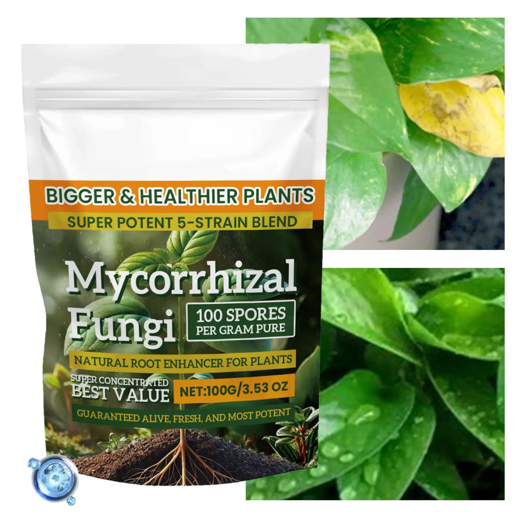 100g Plant Growth Fertilizer Powder for Root Support, Soil Culture & Hydroponic Growing — Weekly Application