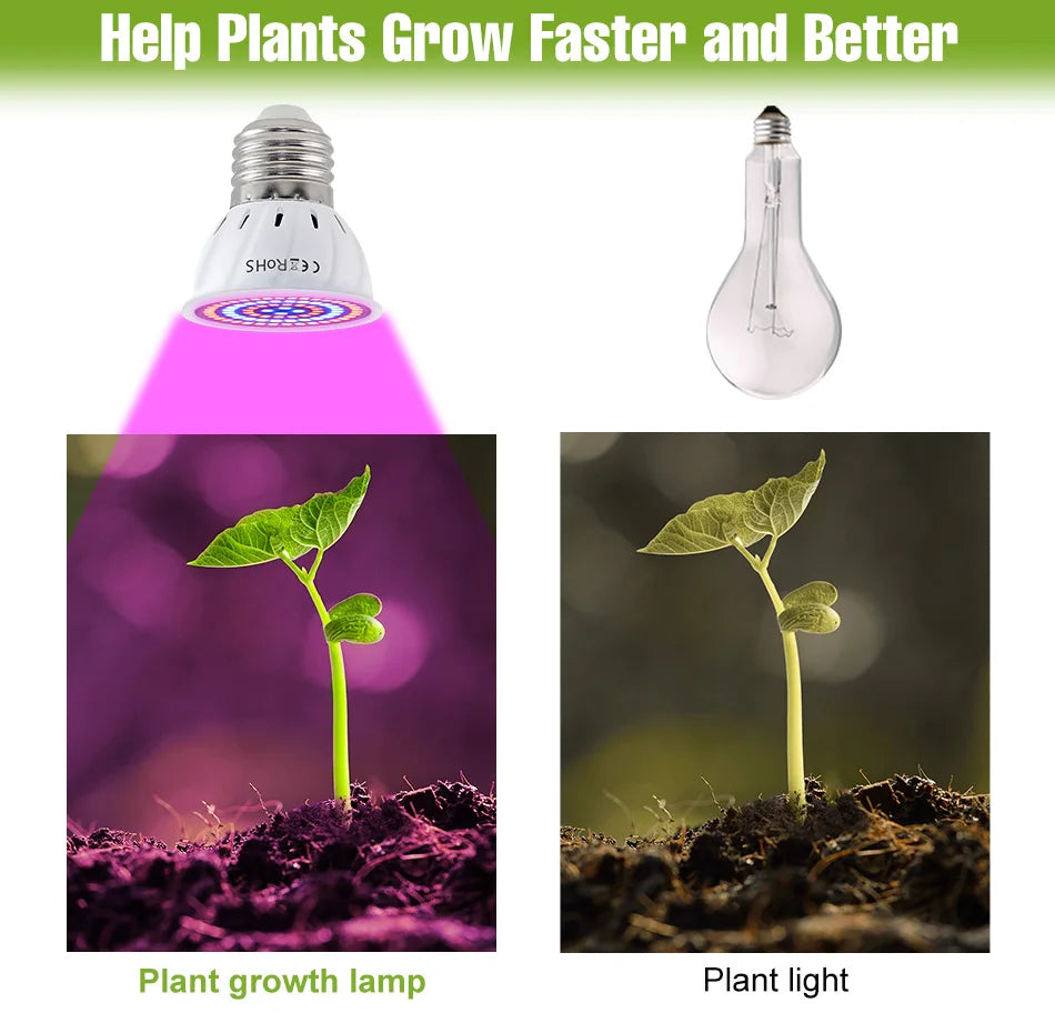 Full-Spectrum LED Plant Grow Light Bulb for Indoor Flowers, Herbs & Seedlings — E27, E14, GU10, B22, MR16 — 5W, 7W & 9W Options